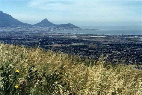 TYGERBERG NATURE RESERVE (Parow) - All You Need …