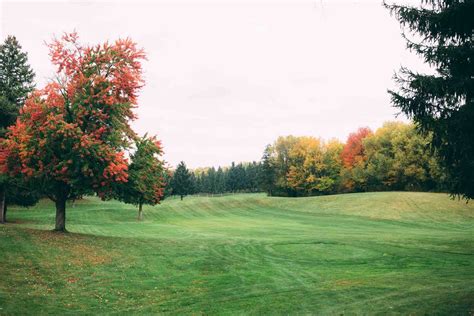 Tyler Creek Golf Course & Campground - Alto, Michigan - balustradellc