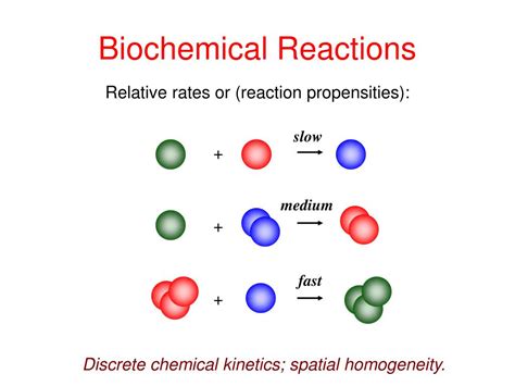 Types of Biochemical Reactions - CK-12 Foundation - muktibox.com
