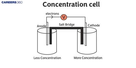 Types of Concentration Cells - BYJU'S - raincitystudios.com