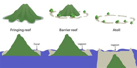 Types of coral reef formations - InsightsIAS - muktibox.com