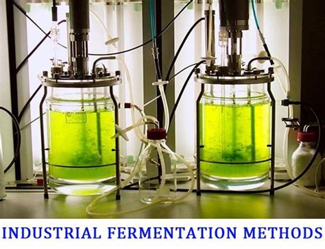 Types of Fermentation Process in Industrial … - wintechmobiles.com