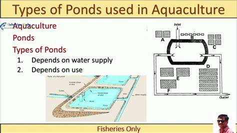 Types of Fish Ponds in Aquaculture - Startupback - raincitystudios.com