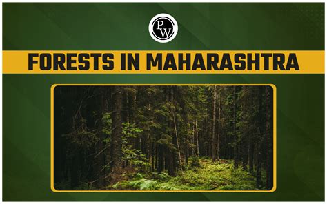 Types of Forest in Maharashtra - Distribution, … - muktibox.com