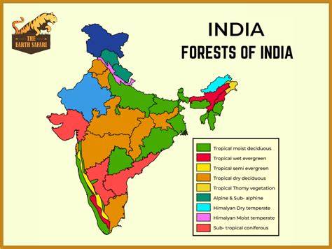 Types of Forests in India | Natural Vegetation of India - raincitystudios.com