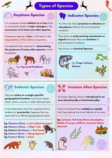 Types of Indicator Animals and Their Roles in Nature - raincitystudios.com