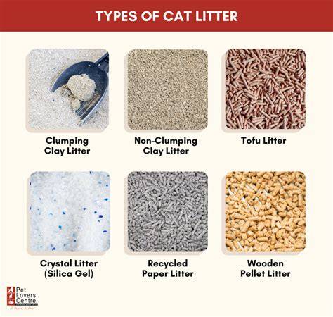 Types of Litter That Benefit Your Soil - Live to Plant - raincitystudios.com