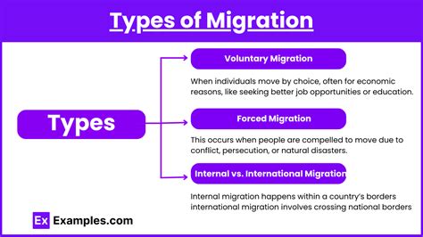 Types of Migration - Birdfact - muktibox.com