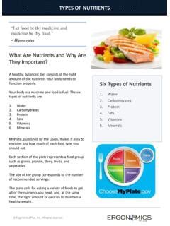 TYPES OF NUTRIENTS - ErgoPlus