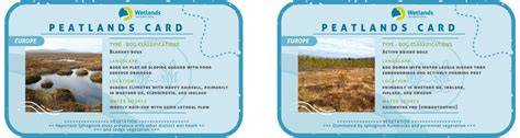 Types of peatlands - International Peatland Society - raincitystudios.com