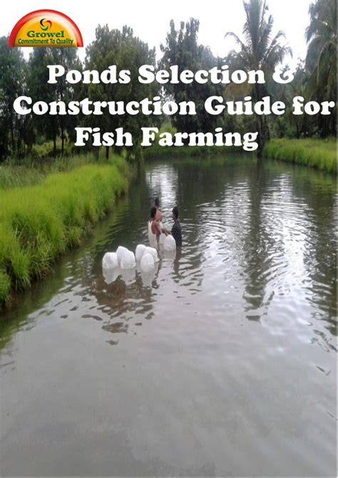 Types of Ponds: Guide for Fish Farming Infrastructure - raincitystudios.com