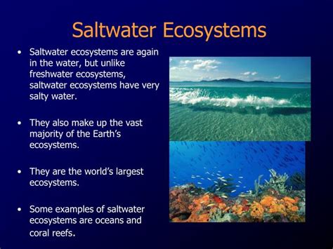 Types Of Saltwater Ecosystems - Sciencing - muktibox.com