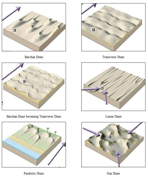 Types of Sand Dunes - WorldAtlas - balustradellc