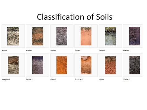 Types of Soil: Classification, Features & Uses - Vedantu - muktibox.com