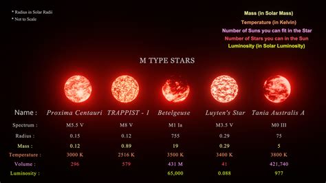 Types of Stars: A Guide to Stellar Classification | Star Facts - wintechmobiles.com