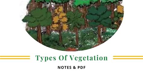 Types of vegetation - Class 9 Geography (Teachoo) - muktibox.com