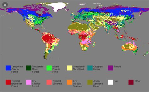 Types of Vegetation Zones Explained - Live to Plant - muktibox.com