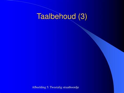 Taalbehoud