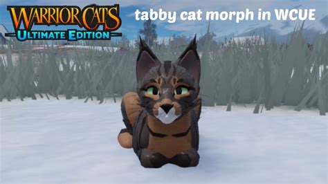 Tabby Cat - Roblox