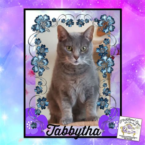 💦 Tabbytha Leaked [HD]