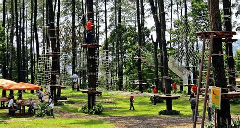 Tabel Sirkuit Treetop Adventure Park Bandung