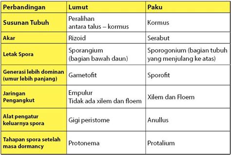 Cara membuat footnote di word hp