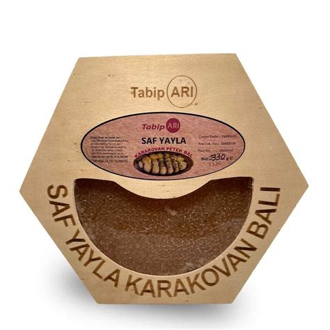 codini.rgarabwor.edu.pl. 