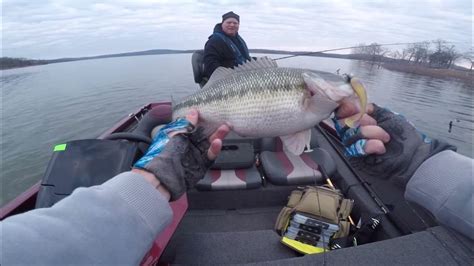 Table Rock smallmouth bass - YouTube