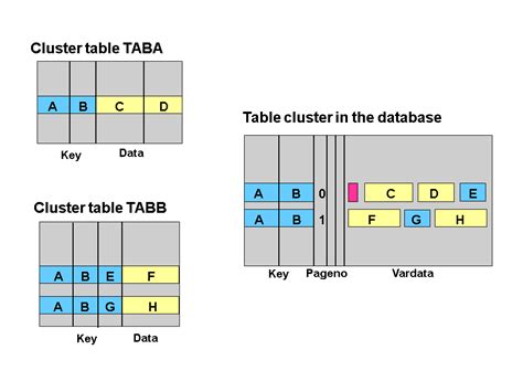 Tables and Table Clusters / 2 Tables and Table Clusters - Database