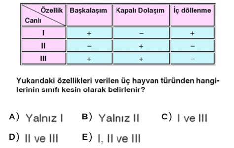 Tablo sorusu Sorumatik.