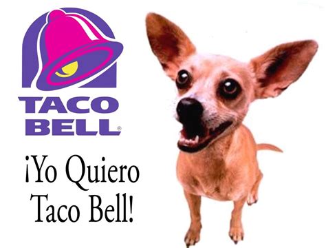 Taco bell dog. Moonie (1998 – March 10, 2016), also known as Moondoggie, was a canine actor.He was a Chihuahua best known for his role as Bruiser Woods in the films Legally Blonde and Legally Blonde 2: Red, White & Blonde, appearing alongside actress Reese Witherspoon.He lived with Gidget, another Chihuahua who was famous for her Taco Bell commercials.. In … 