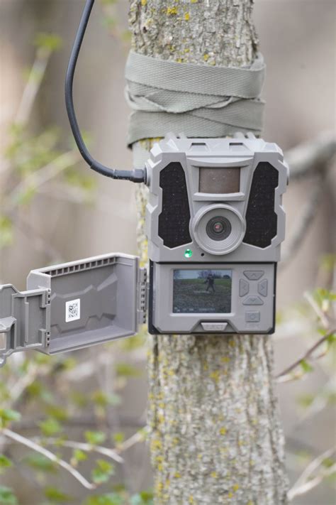 Tactacam reveal cellular trail camera BATTERY LIFE …