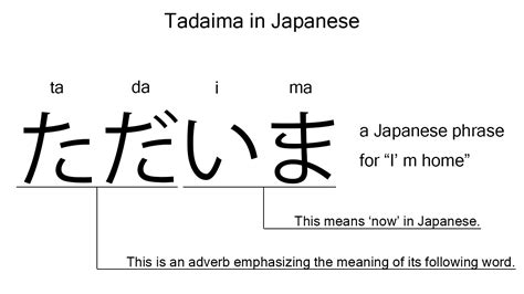 Tadaima Meaning: What is EyeBuyDirect? Eyebuydirect image 1