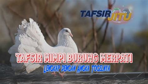 Tafsir mimpi burung merpati togel. Info slot gacor pragmatic hari.