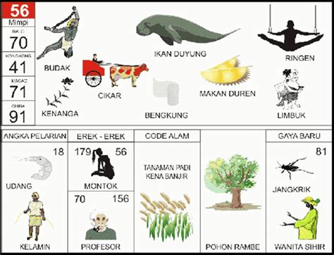 Tafsir mimpi kupu kupu togel. Gambar pak tuntung hari.