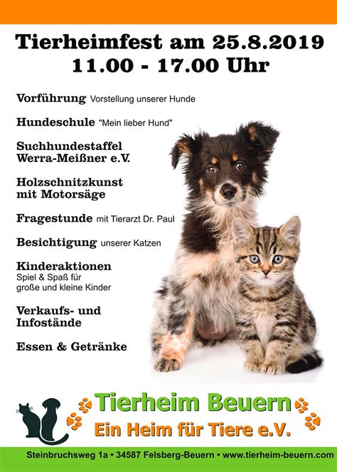 Tag der offenen Tür im Tierheim - Märkische Allgemeine