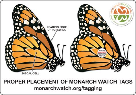 Tagging and Tracking - The Monarch Program