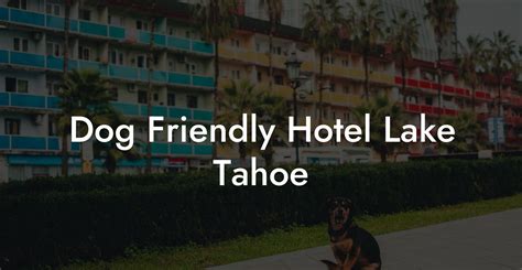 Tahoe dog friendly hotels. Dog parks are as diverse as the breeds that use them. Learn all about dog parks in this article from Animal Planet. Advertisement ­While any park that allows dogs could be called a... 