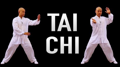 Tai chi videos. Film clips of various Tai Chi Masters 