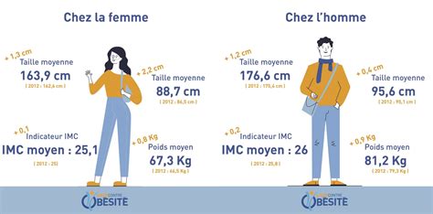 Taille, poids et tour de taille : photographie 2024 des Français