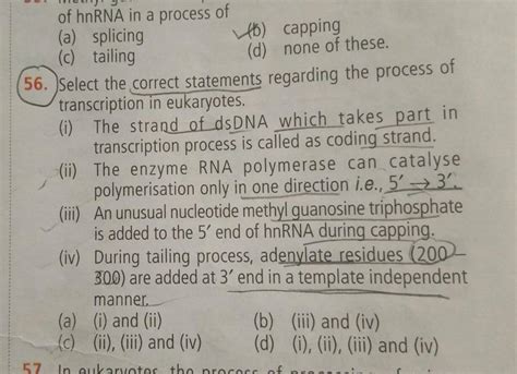 Tailoring of hnRNA is done by Filo - askfilo.com