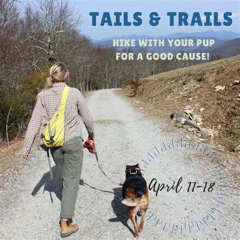 Tails and trails. Tails and Trails NL. 1,442 likes. NL’s first insured and first aid certified, professional dog walking business. We offer one-on-one 