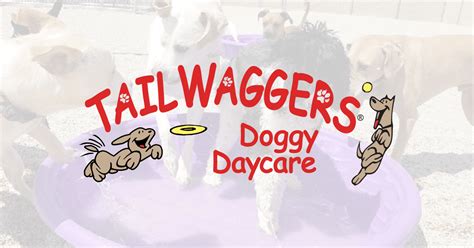 Tailwaggers doggy daycare. TailWaggers Doggy Daycare. Customer Reviews. Rebecca Manske. 09:05 12 Apr 22. Tracy Bartlett. 22:20 26 Feb 22. Staff were super helpful and responded to email extremely quickly. My pup really enjoyed his day at the daycare. The live stream was a HUGE plus! Zach Roloff. 02:00 17 Feb 22. Great dog care. Lee Smoll. 