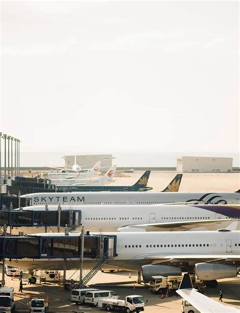 Tailwind Online Check-In.