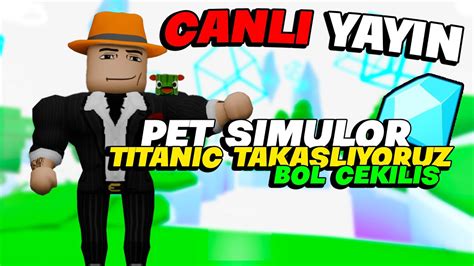 codini.rgarabwor.edu.pl. 