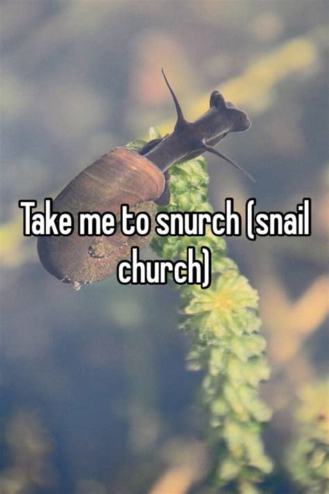 Take Me To Snurch (snail Church) - SoundCloud