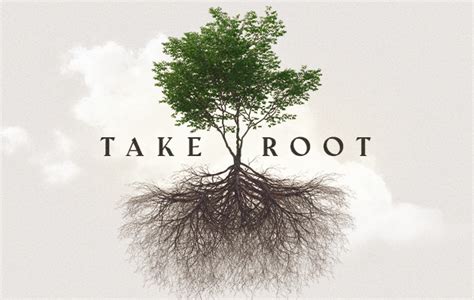 Take Root