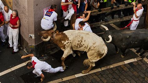 Take a look at the Bulls