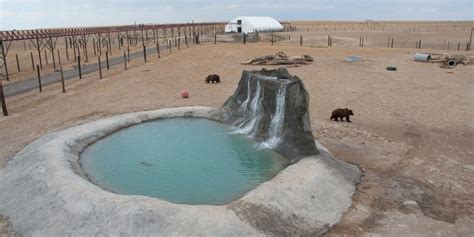 Take a look inside the new Wild Animal Refuge in southern Colorado