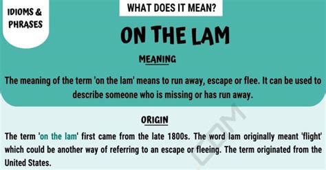 Take it on the lam - Idioms by The Free Dictionary